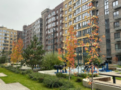 «Практичный» комфорт как новая ценность для покупателей квартир