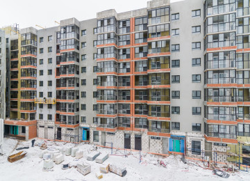 13 ноября 2024 год