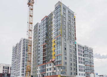 11 декабря 2025 год