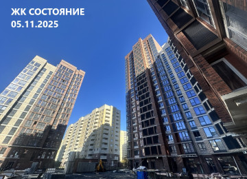 5 ноября 2025 год