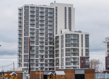 11 ноября 2025 год