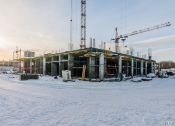 13 января 2025 год